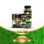 خرید-نعنا-خشک-عطار-کده-قیمت-و-کیفیت-عالی--scaled